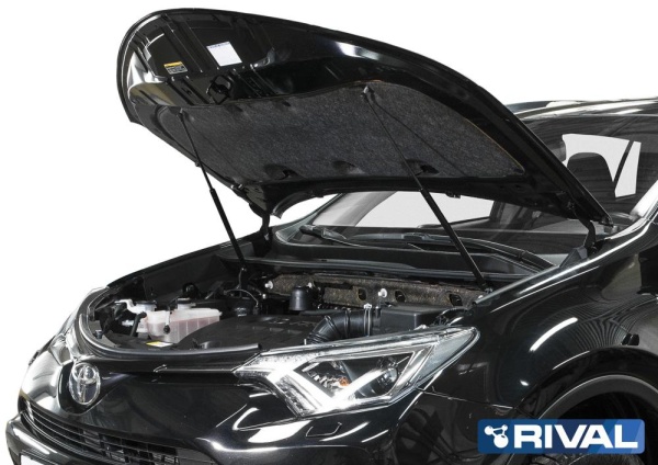 Упоры капота Toyota Rav 4 IV (2013-2019) Rival